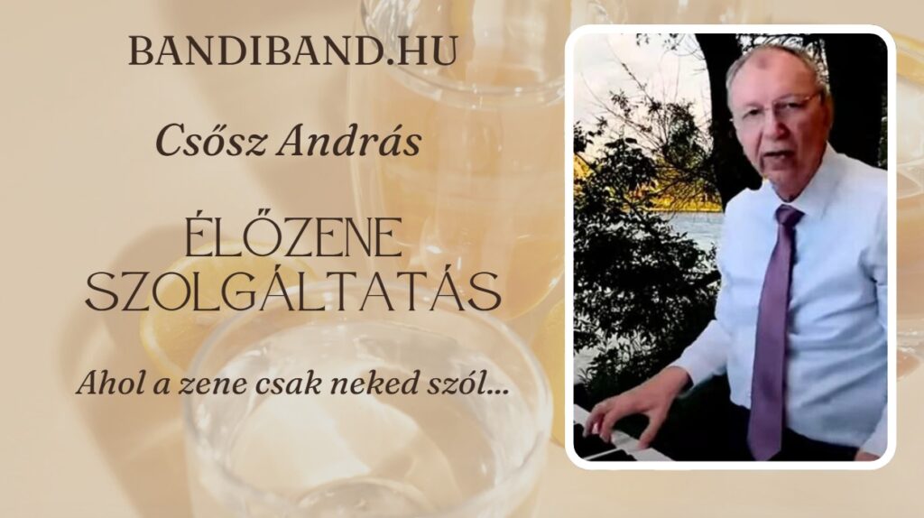 Élőzene szolgáltatás